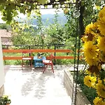 Guest house Mihaela Retreat *