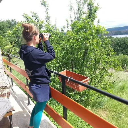 Mihaela Retreat *