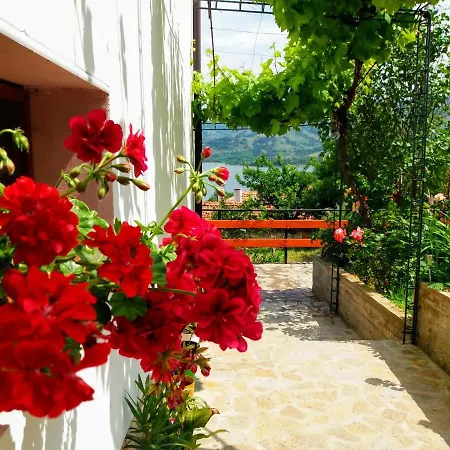 Guest house Mihaela Retreat Gnyazdovo
