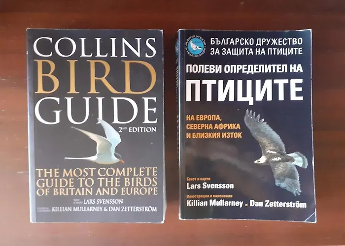 Guest house Mihaela Retreat