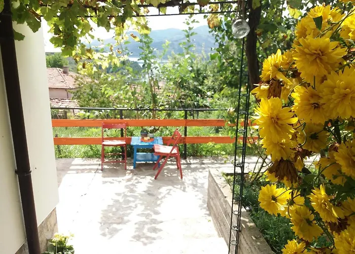 Guest house Mihaela Retreat *