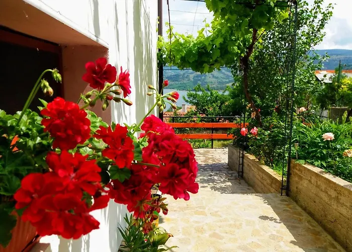 Guest house Mihaela Retreat Gnyazdovo